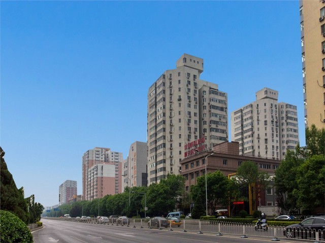 浙江专业刨花板托盘哪家好