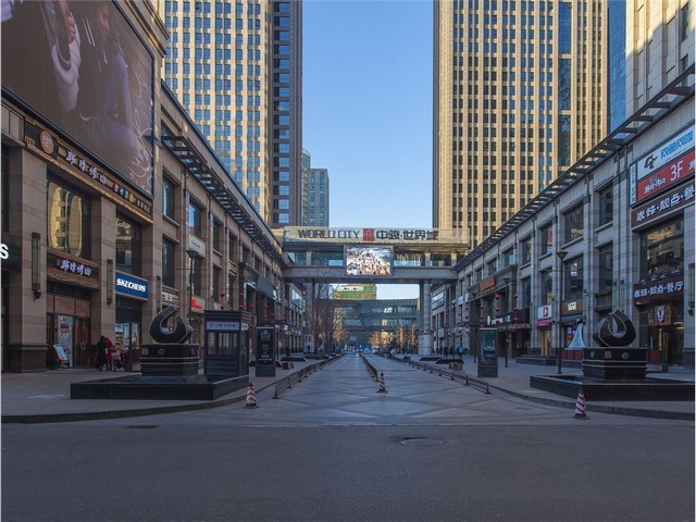 浙江专业刨花板托盘哪家好